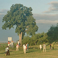 Cliquez sur la vignette pour voir l'image